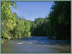 Coosawattee River
